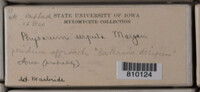 Image Associated With the Occurence